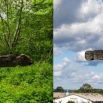 The Sludstrup/Skørpinge Cros­ses