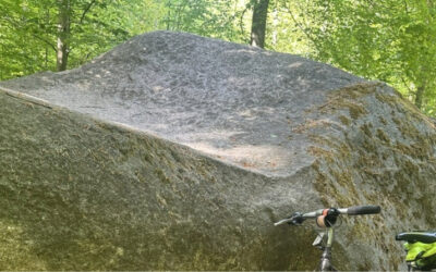 Sen­ge­ste­nen