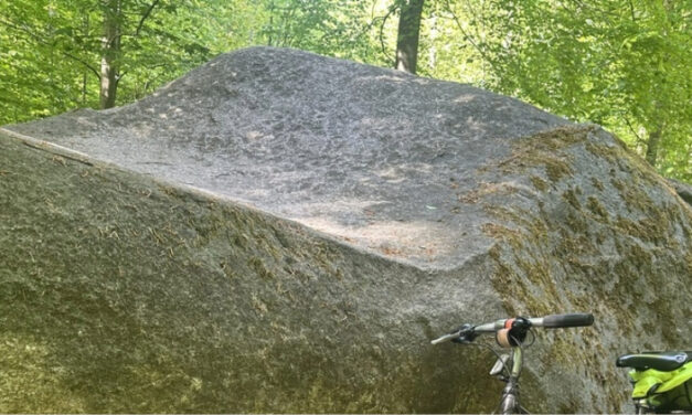 The Bed Rock