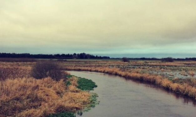 Lost Tra­cks and Rest­less Souls: Along The Lin­den­borg River