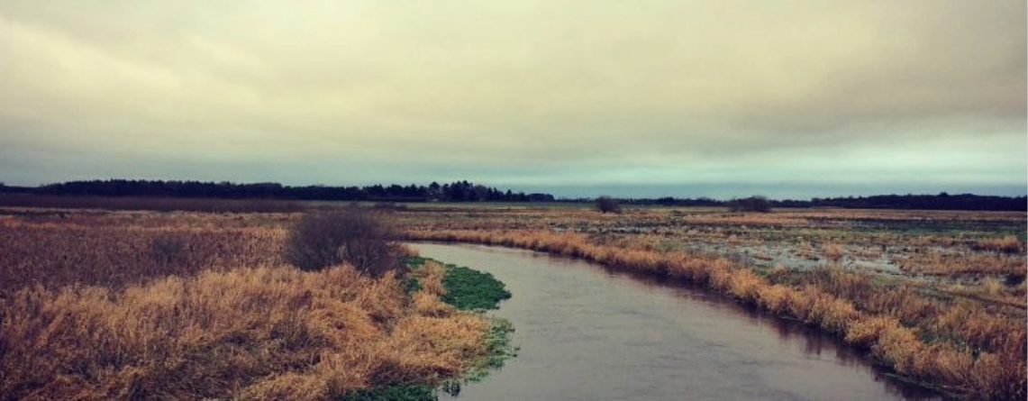 Lost Tra­cks and Rest­less Souls: Along The Lin­den­borg River